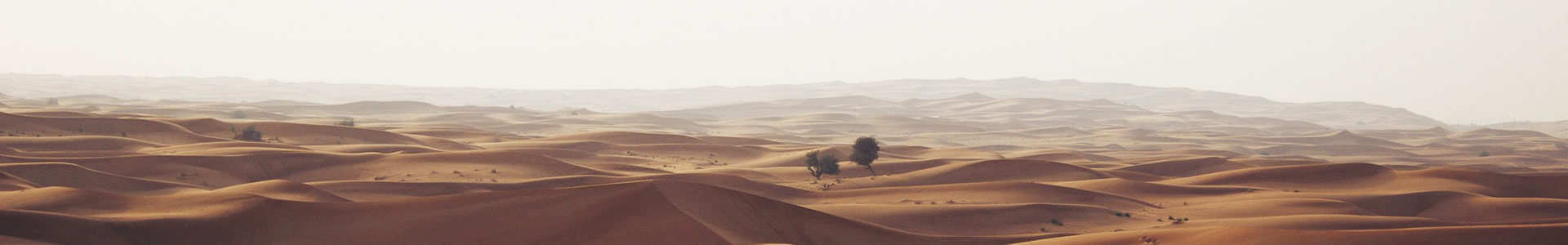 ϷʸĻ޹˾